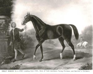 The Darley Arabian was imported from Syria to Yorkshire in 1704