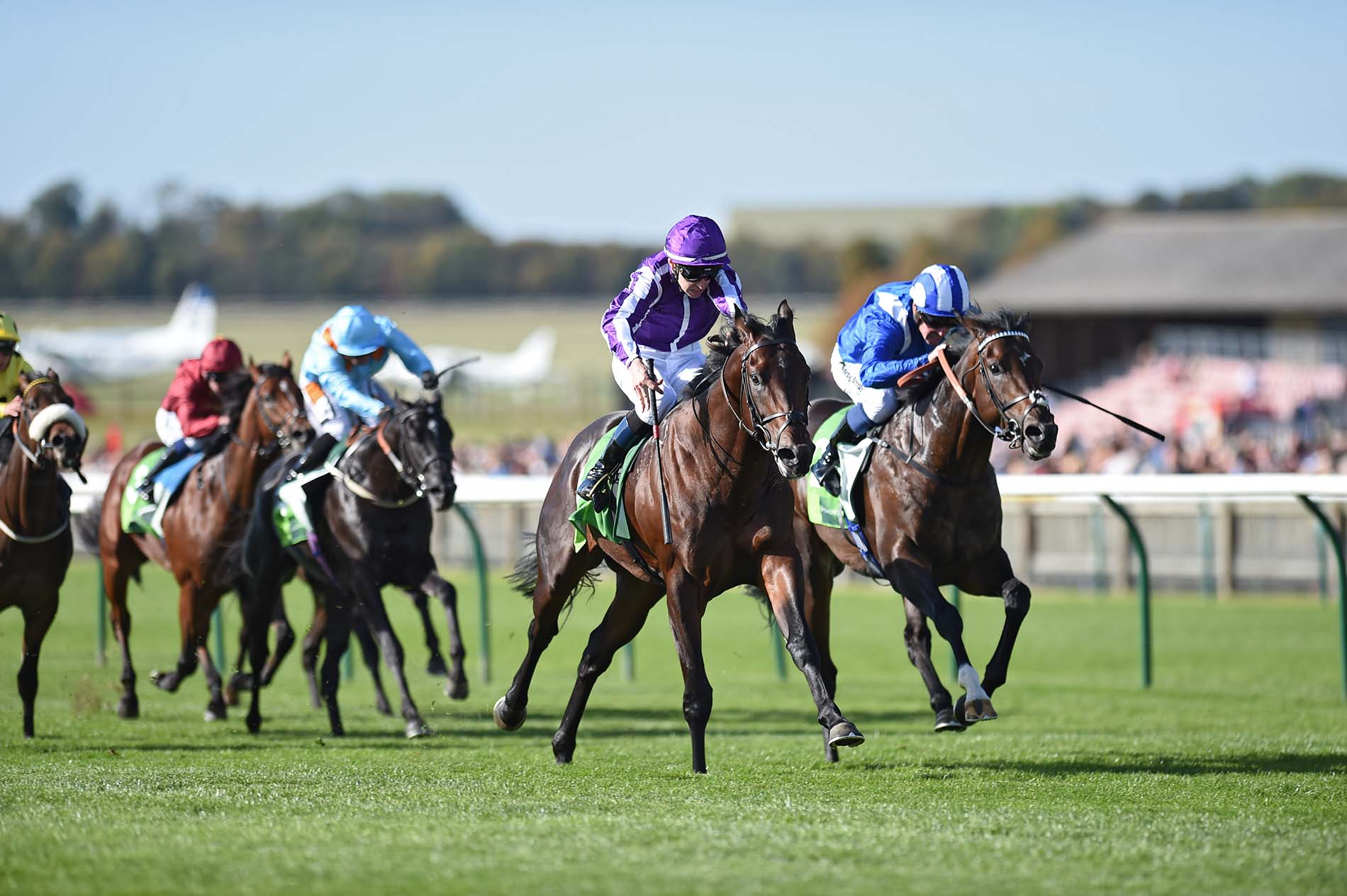 Ten Sovereigns (purple) and Donnacha O'Brien win the Middle Park Stakes at Newmarket