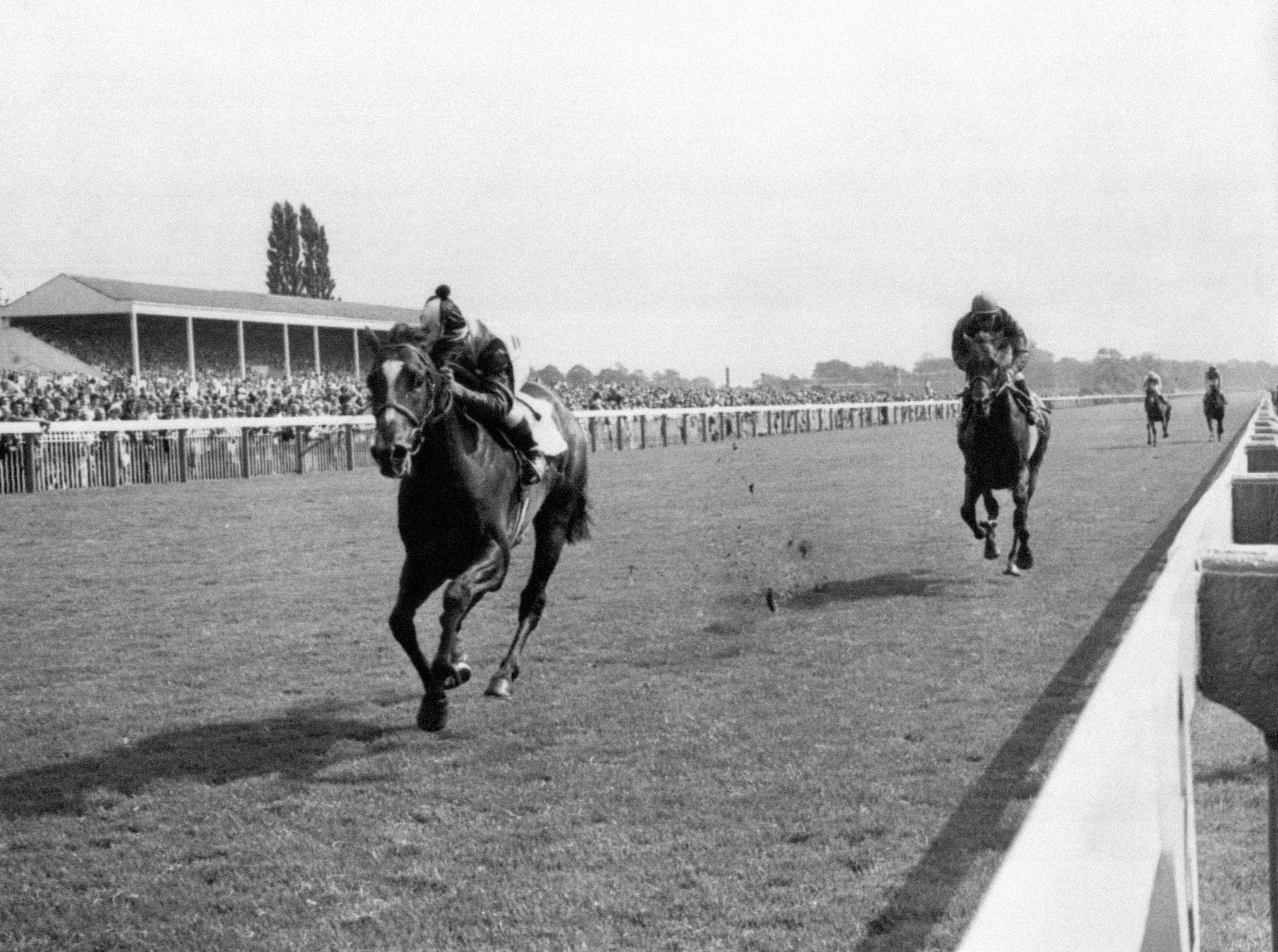 Pretty Polly: Prodigious legacy of the best racemare of the 20th century, Topics: Vaguely Noble, Brigadier Gerard