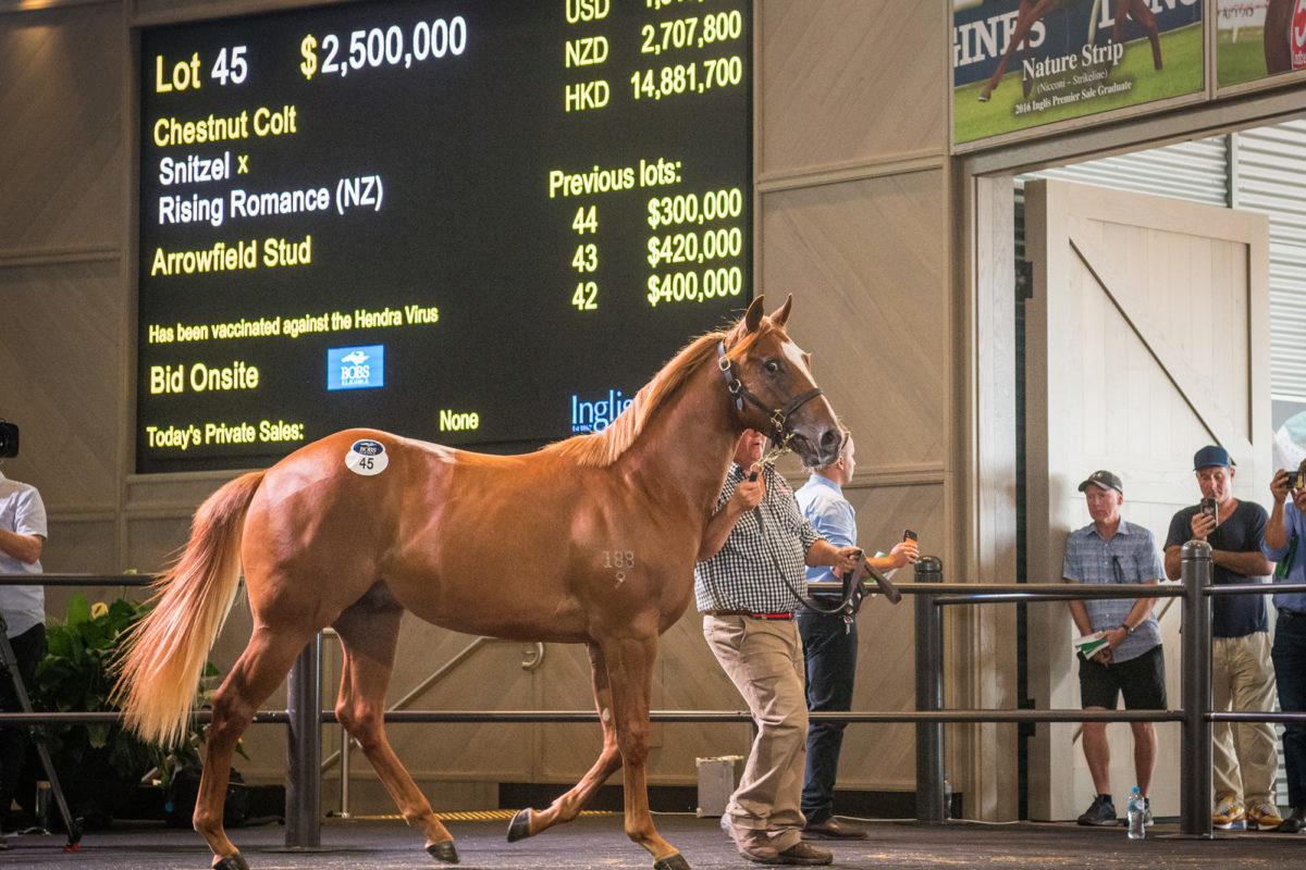 Inglis Easter Yearling Sale concludes remarkable renewal The Owner