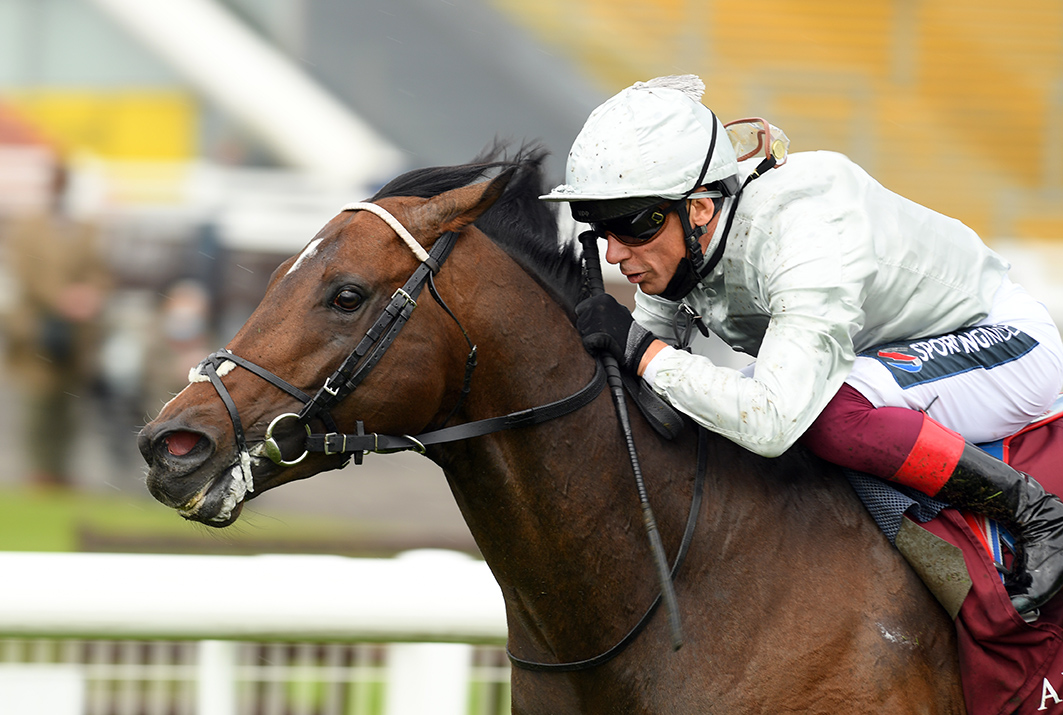 Palace Pier underlines why Nayef is making inroads as a broodmare sire ...